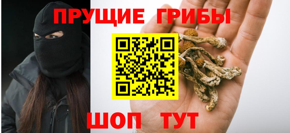 Галлюциногенные грибы Psilocybe  Вход с VPN  Псилоцибиновые грибы ЛСД  Гусь-Хрустальный 